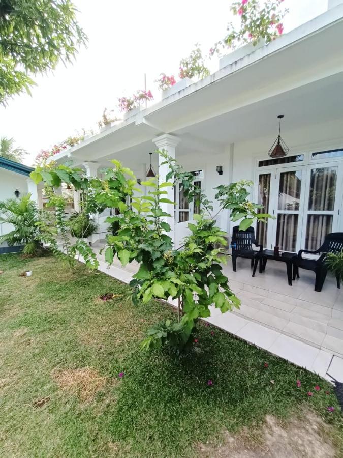 The Bamboo Tree Transit Hotel Katunayaka Extérieur photo