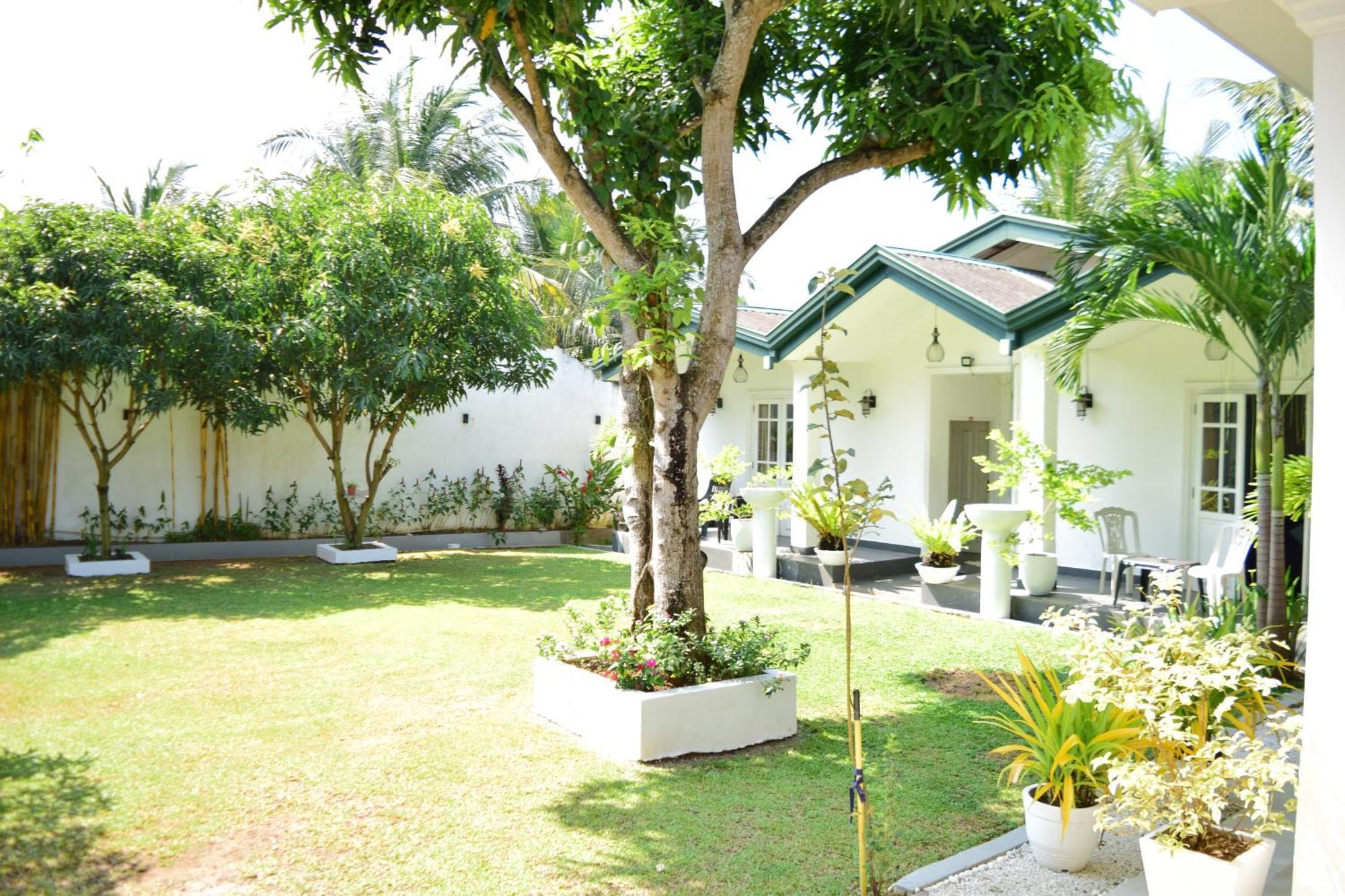 The Bamboo Tree Transit Hotel Katunayaka Extérieur photo