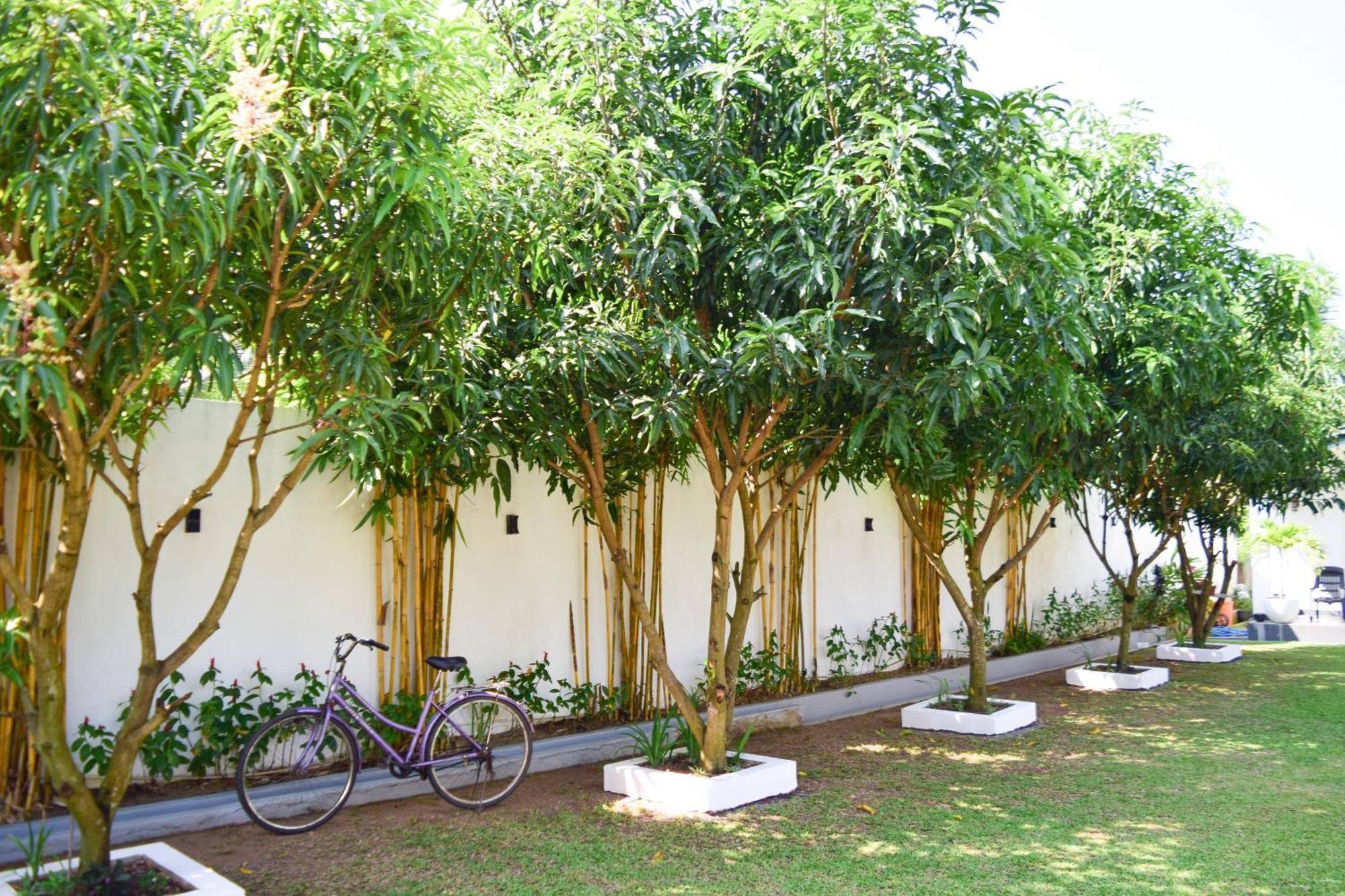 The Bamboo Tree Transit Hotel Katunayaka Extérieur photo